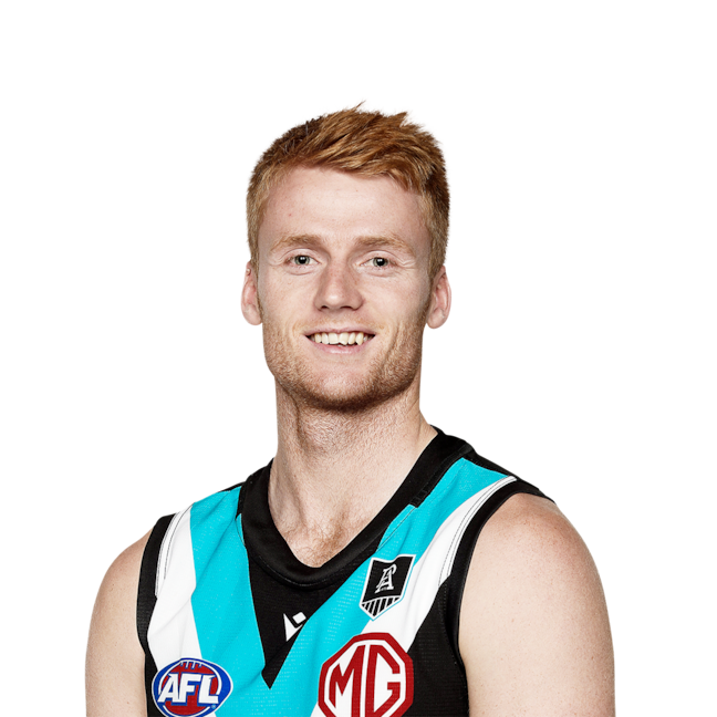 Willem Drew profile picture